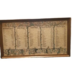 Vtg Regional Plant Pollination Time Professionally Framed Chart Art Whimsical